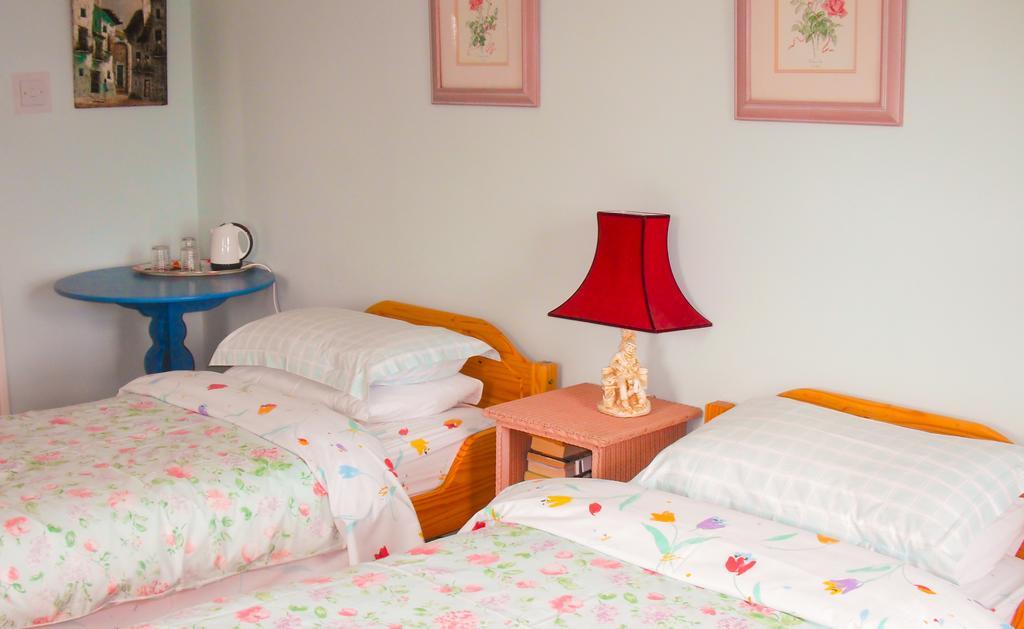 The Well Meadow B&B Nenagh Cameră foto