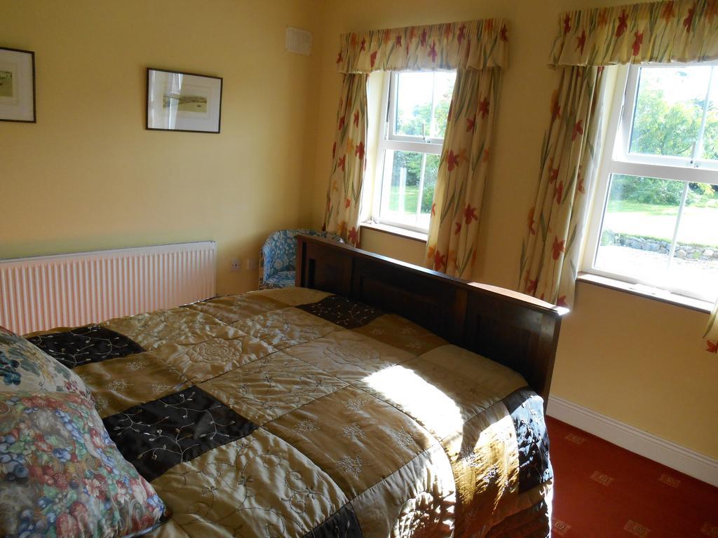 The Well Meadow B&B Nenagh Cameră foto