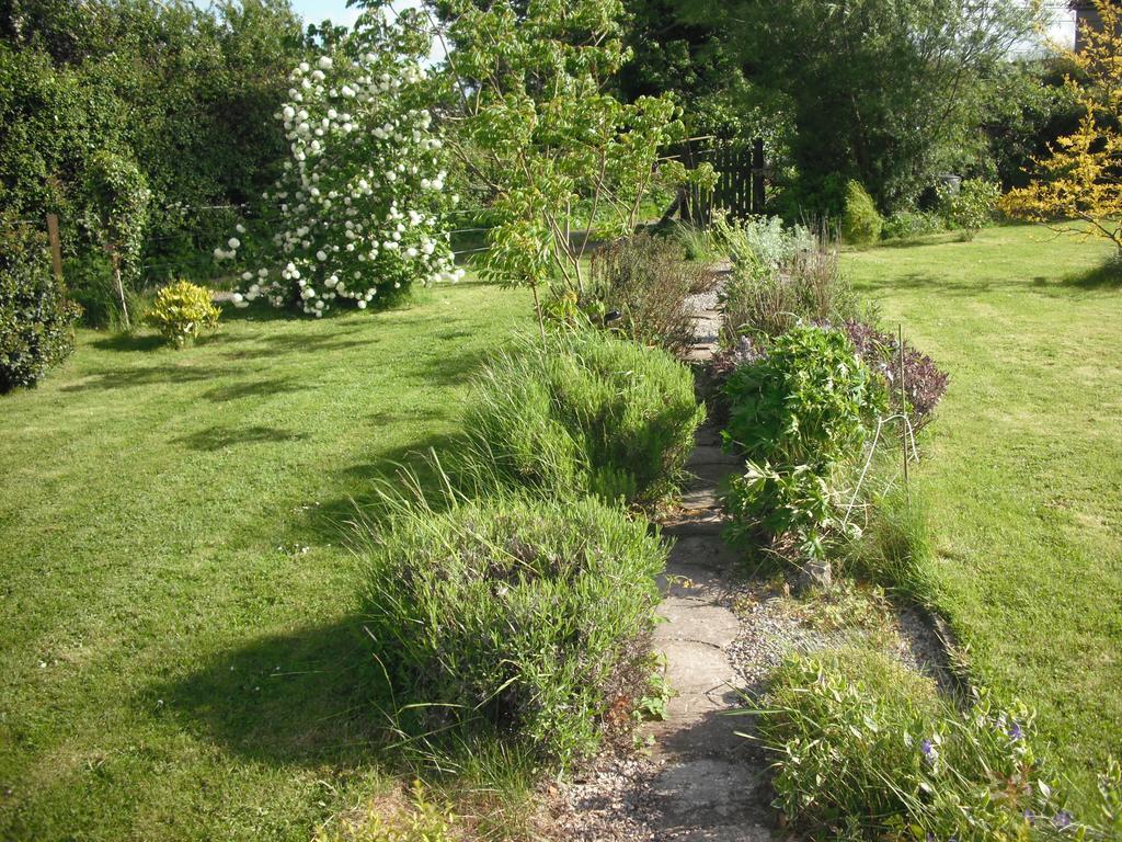 The Well Meadow B&B Nenagh Cameră foto