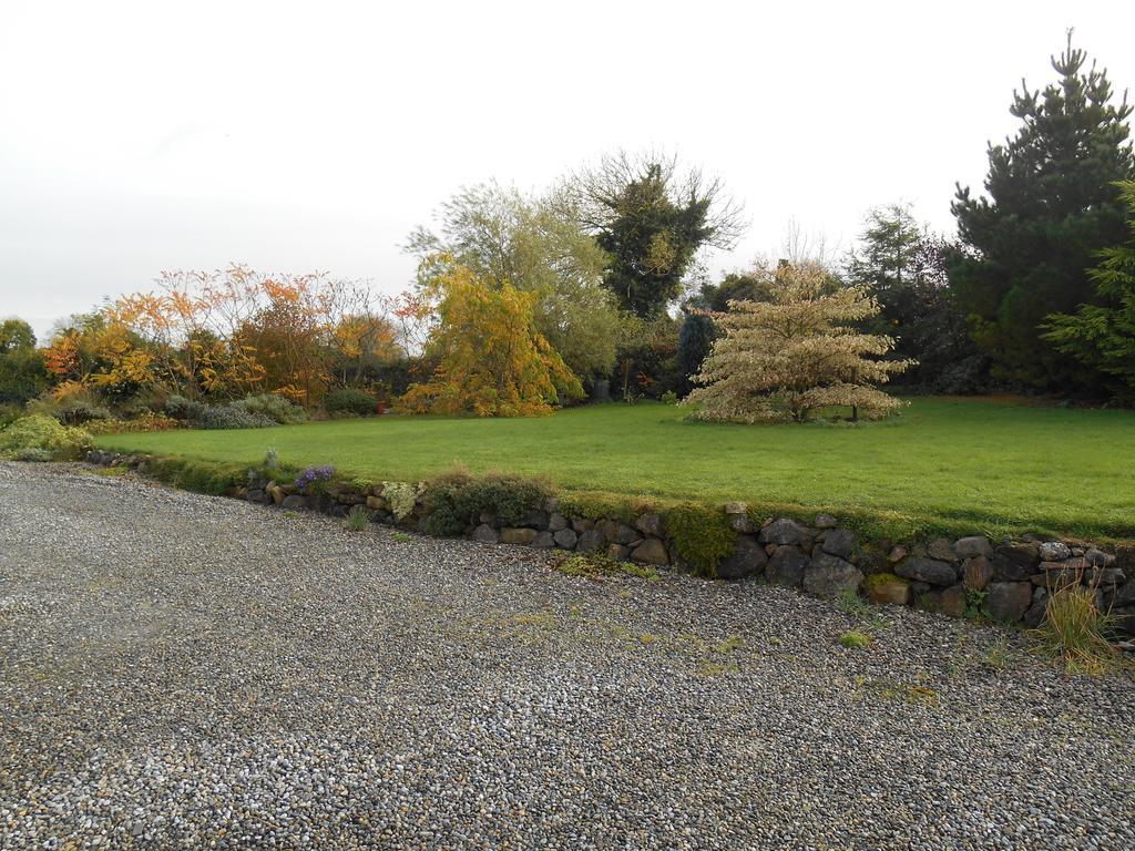 The Well Meadow B&B Nenagh Exterior foto