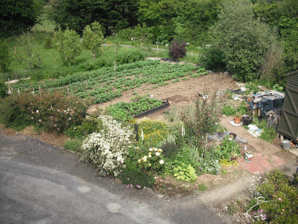 The Well Meadow B&B Nenagh Cameră foto